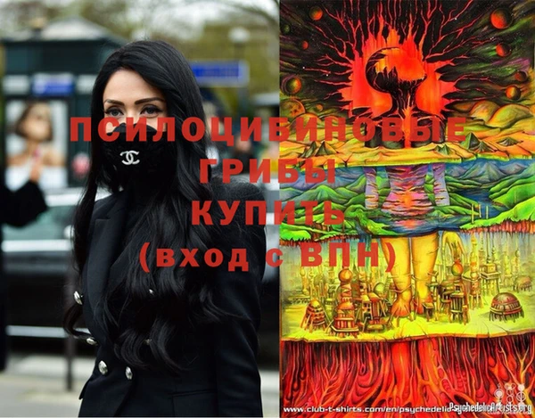 мдпв Бородино