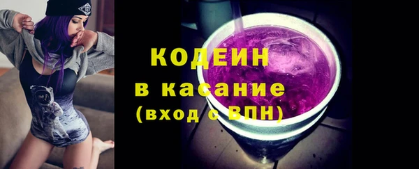 мдпв Бородино