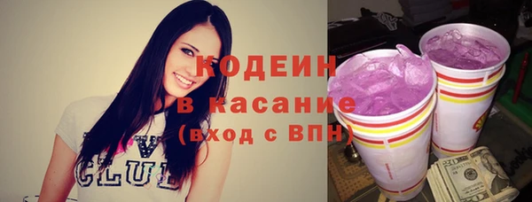 мдпв Бородино