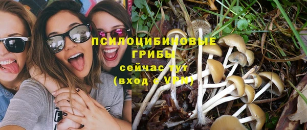 2c-b Бронницы