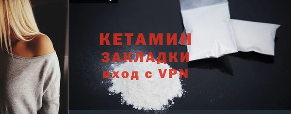мдпв Бородино