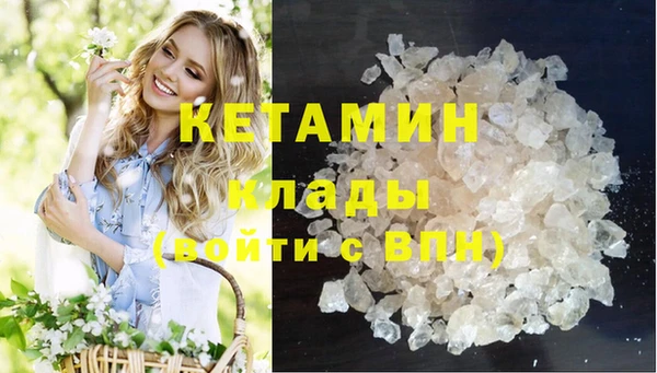 мдпв Бородино