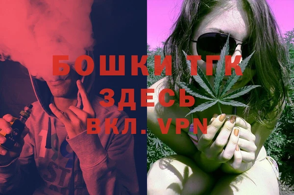 мдпв Бородино