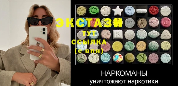 мдпв Бородино
