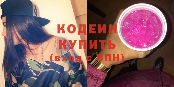 мдпв Бородино